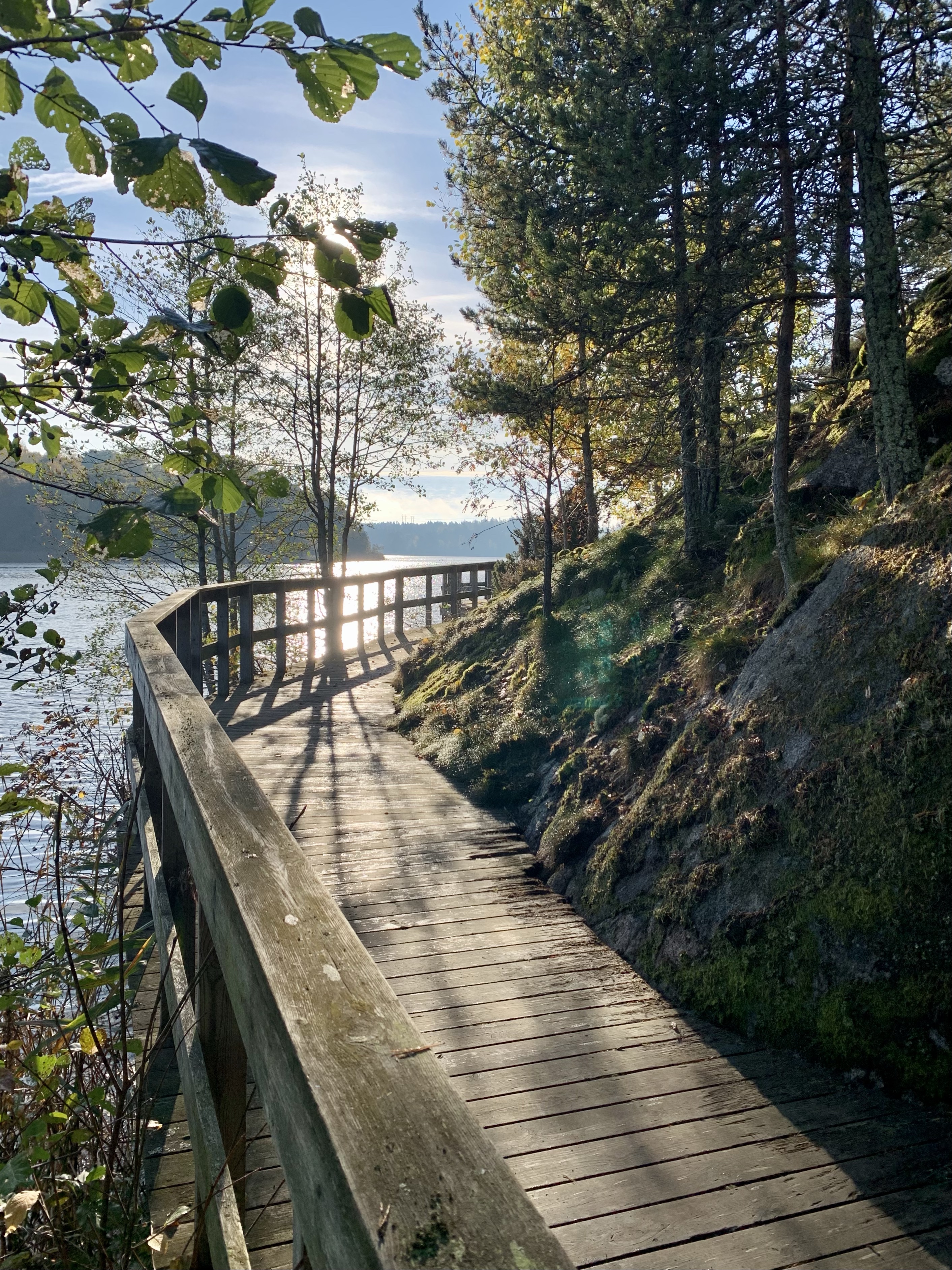 My next car is an electric (part three)